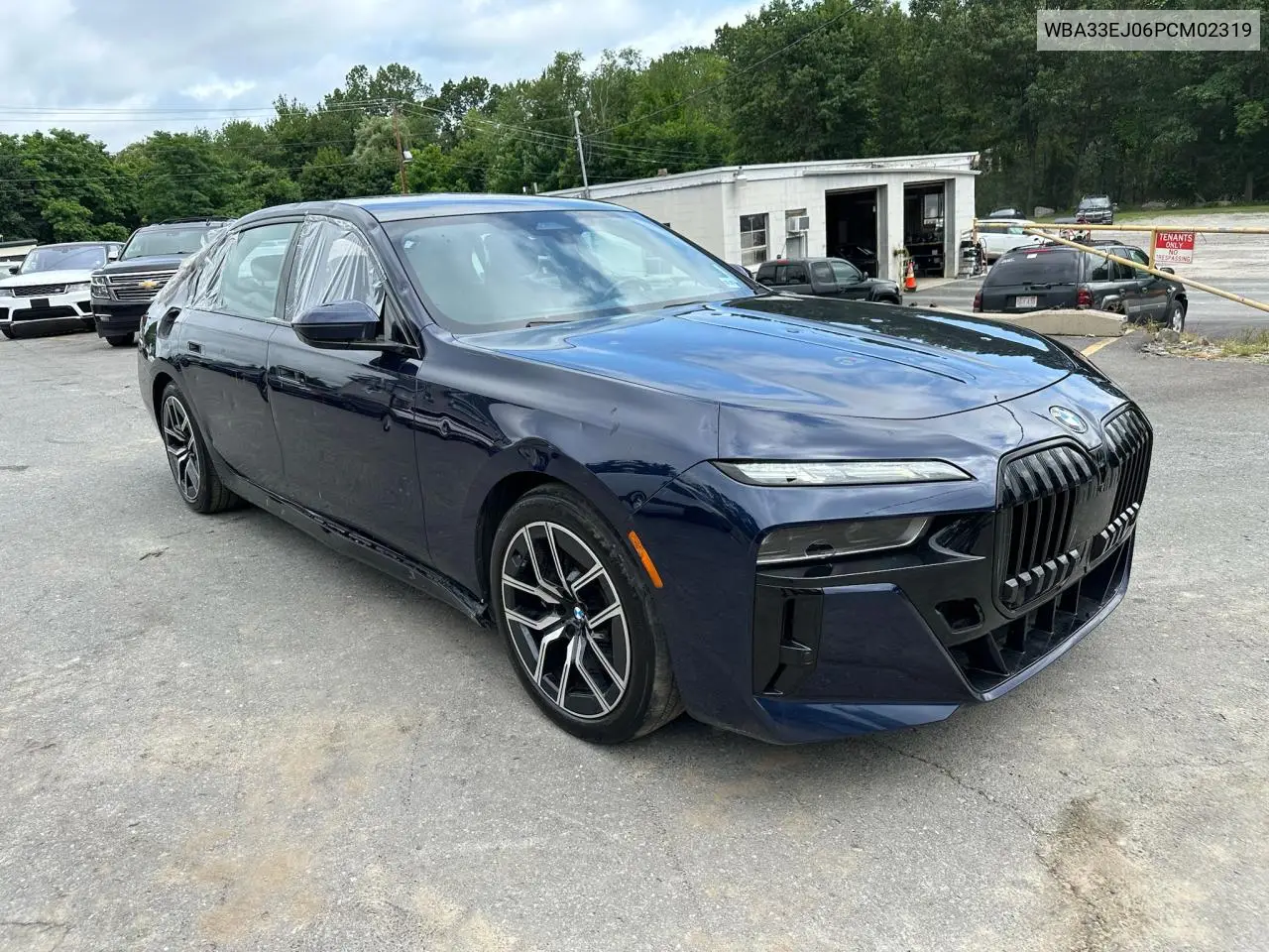 Auction sale of the 2023 BMW 7er , vin: WBA33EJ06PCM02319, lot number: 64957095