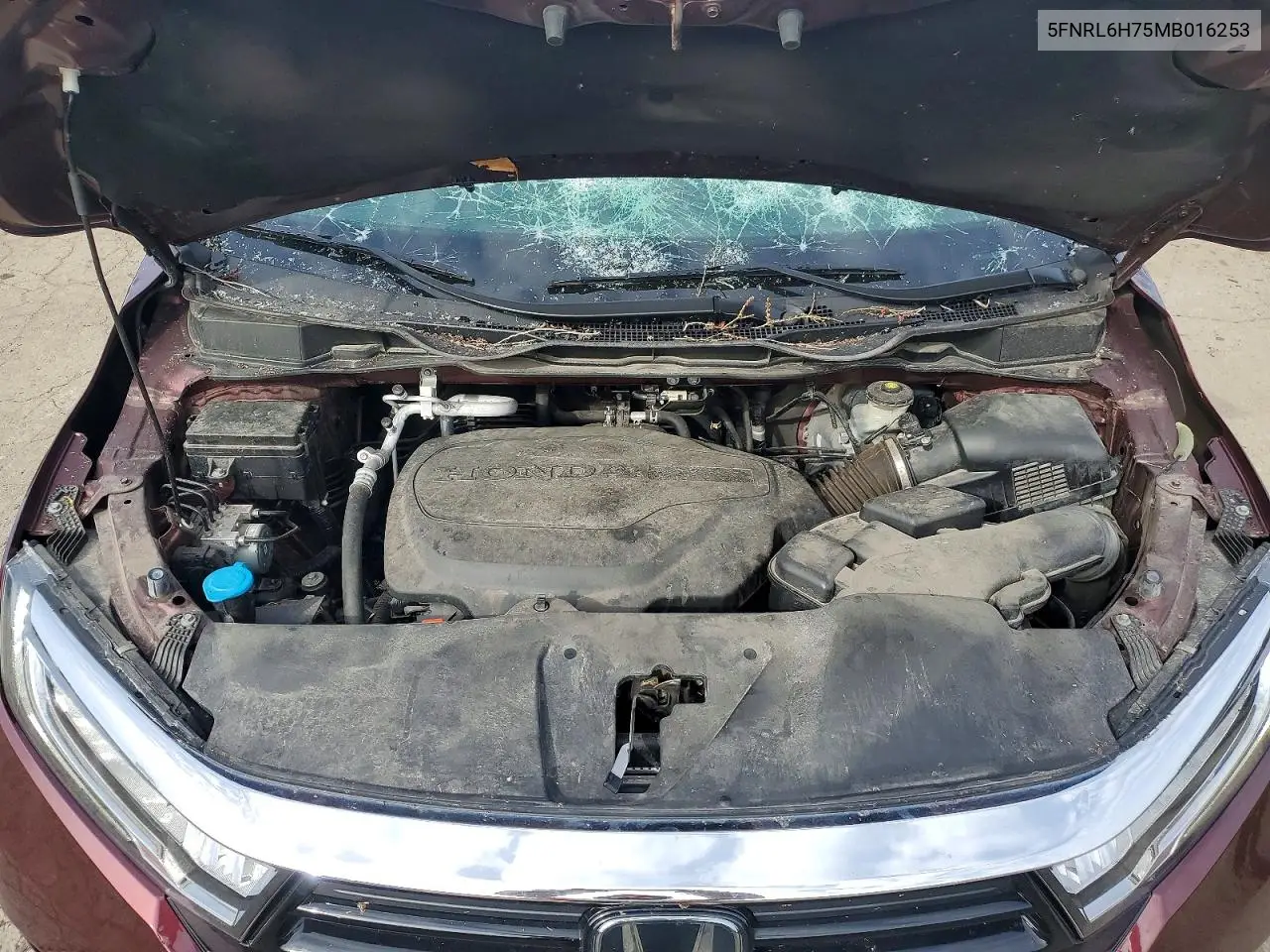 Auction sale of the 2021 Honda Odyssey , vin: 5FNRL6H75MB016253, lot number: 46905166