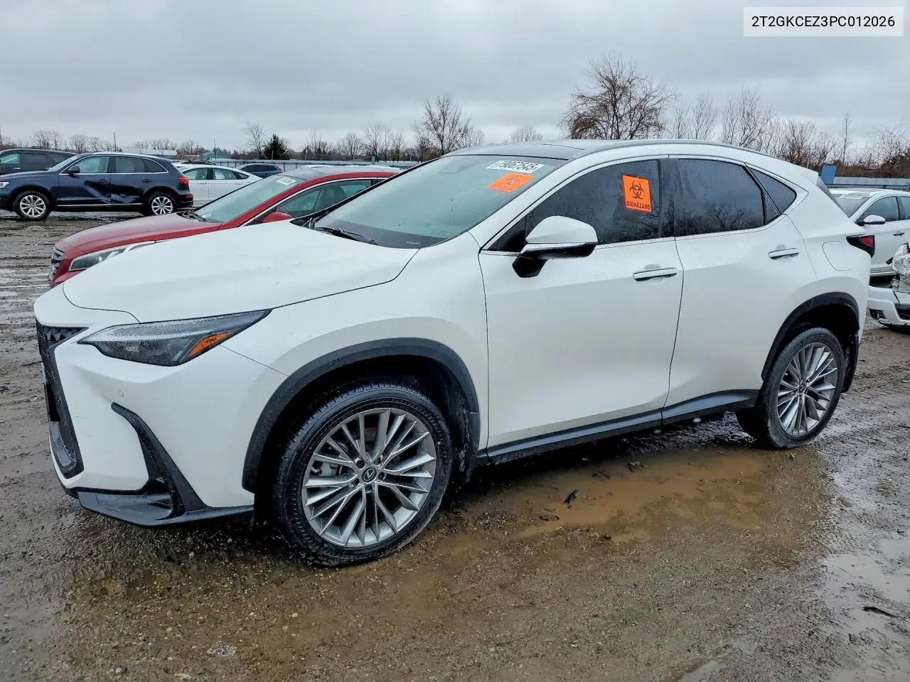 Auction sale of the 2023 Lexus NX , vin: 2T2GKCEZ3PC012026, lot number: 79067545