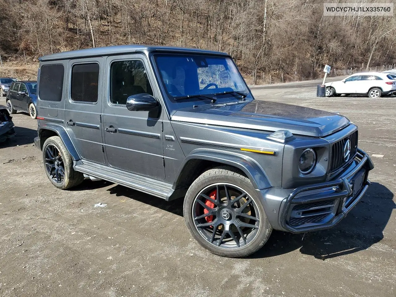 Auction sale of the 2020 Mercedes Benz G klasse , vin: WDCYC7HJ1LX335760, lot number: 46023736