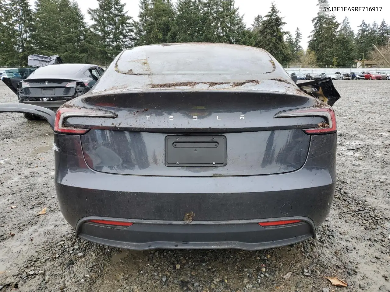 Auction sale of the 2024 Tesla Model 3 , vin: 5YJ3E1EA9RF716917, lot number: 49883955