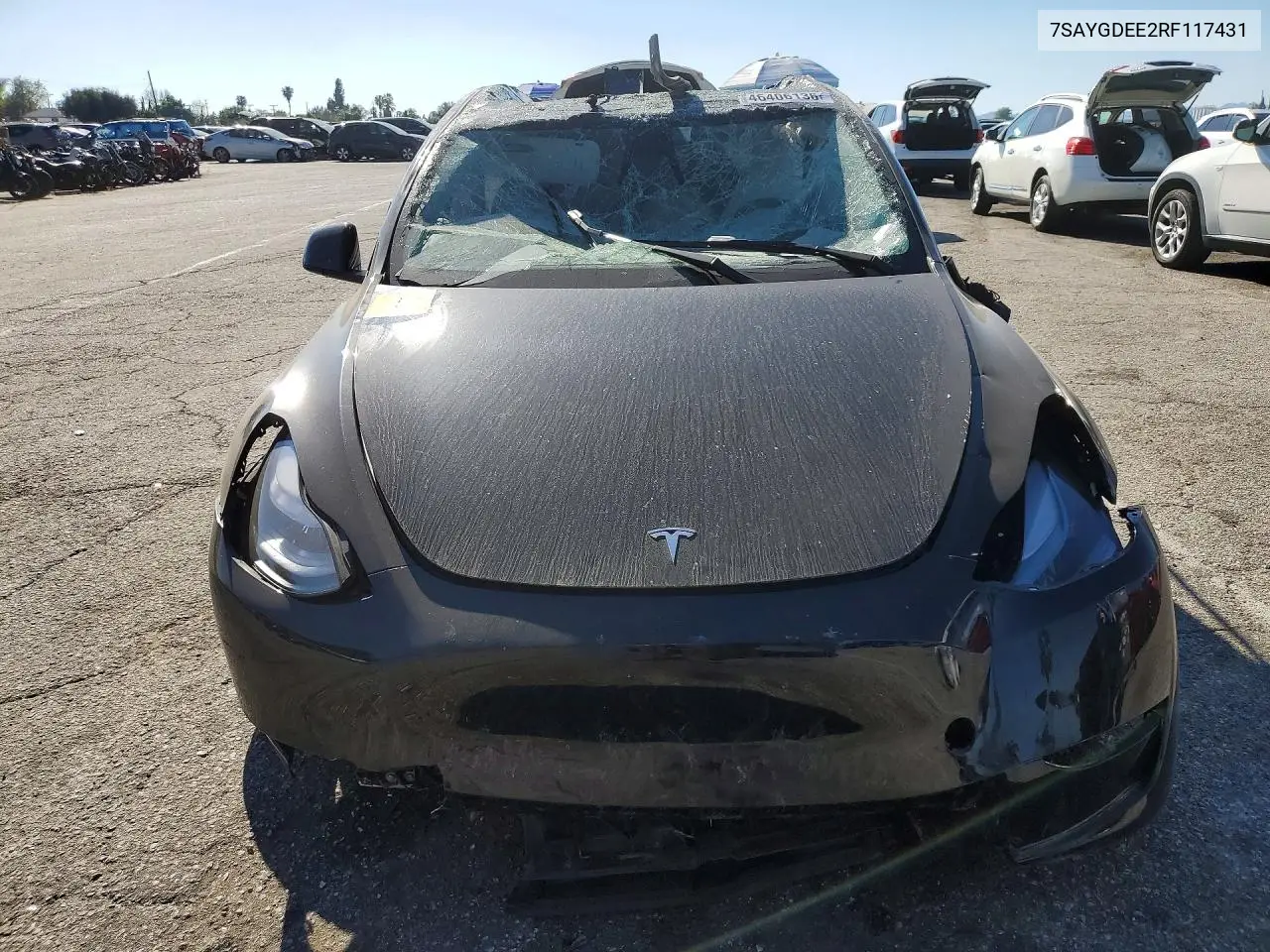 Auction sale of the 2024 Tesla Model Y , vin: 7SAYGDEE2RF117431, lot number: 46406136