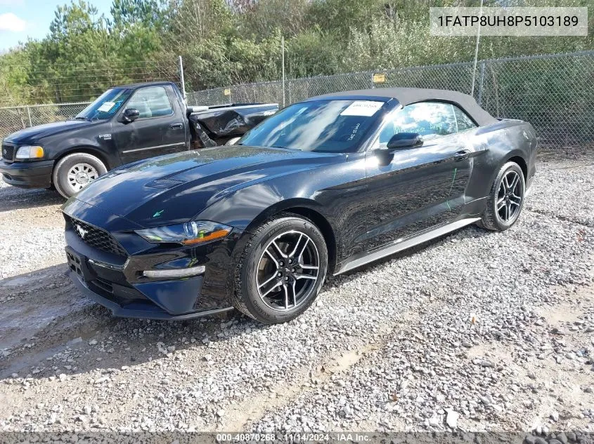 Auction sale of the 2023 Ford Mustang , vin: 1FATP8UH8P5103189, lot number: 40870268