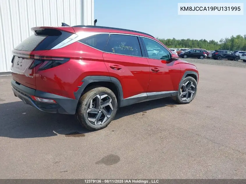 Auction sale of the 2023 Hyundai Tucson , vin: KM8JCCA19PU131995, lot number: 12379136