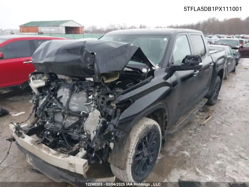 Auction sale of the 2023 Toyota Tundra , vin: 5TFLA5DB1PX111001, lot number: 12248303