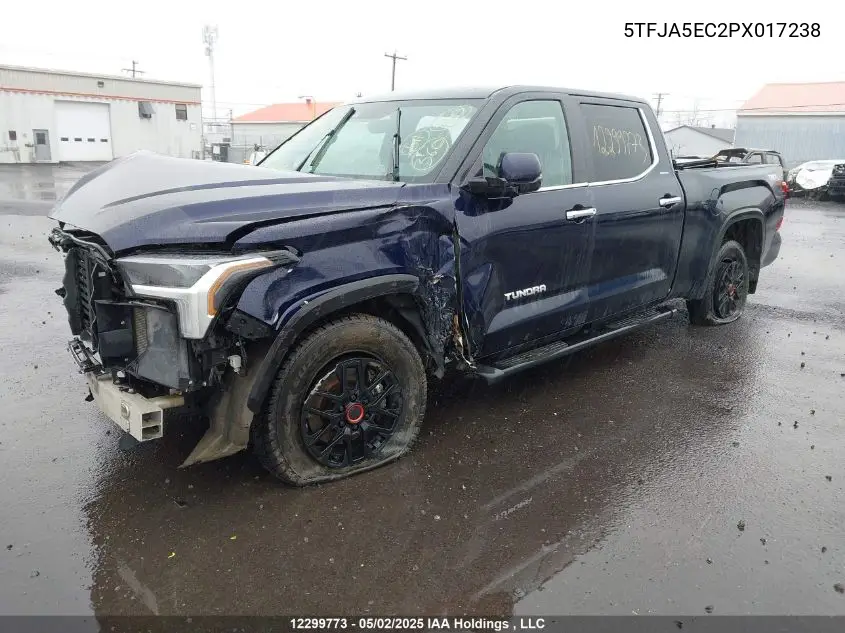 Auction sale of the 2023 Toyota Tundra , vin: 5TFJA5EC2PX017238, lot number: 12299773